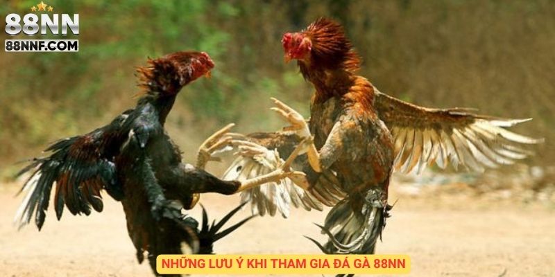 Những lưu ý khi tham gia