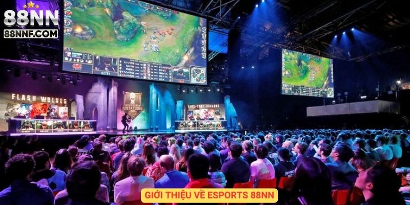 Giới thiệu về Esports 88NN