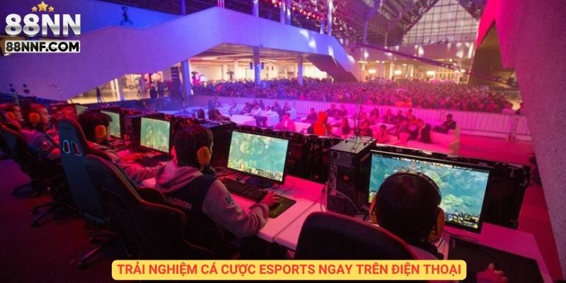 Trải nghiệm cá cược thể thao điện tử ngay trên điện thoại