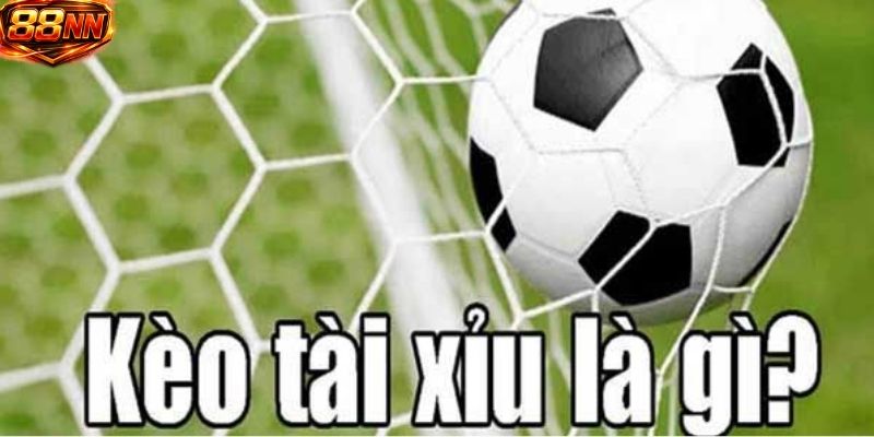 Người chơi cần nghiên cứu kỹ về các yếu tố liên quan