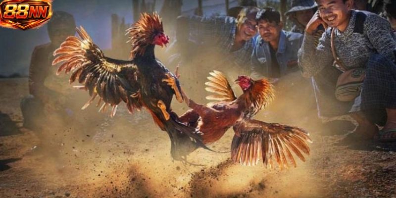 Ưu điểm lớn nhất là trải nghiệm mượt mà và ổn định